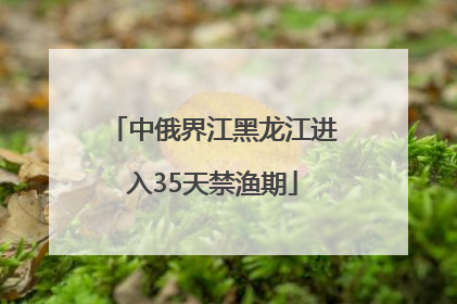 中俄界江黑龙江进入35天禁渔期